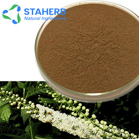 Black Cohosh Extract black cohosh Cimicifuga racemosa extract Powdered Black Cohosh Extract