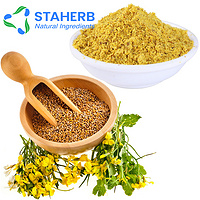 Mustard wasabi mostarda Senf mustard extract