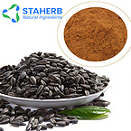 black melon seed extract black melon seed P E