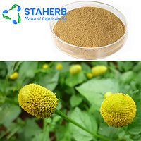 SPILANTES ACMELLA extract  gold buttons extract