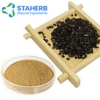 Leek Seed ExtractTuber Onion Seed Extract