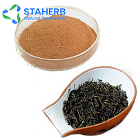 black tea extract balck tea p e  black tea powder