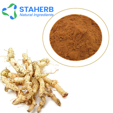 Siberian Solomonseal Rhizome Extract Solomonseal Rhizome P.E PolygonatuM officinale, ext sealwort ex