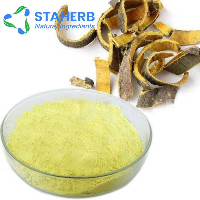 Cortex Phellodendri Extract Wild Mint Herb Extract Amur cork tree Bark Extract Amoorcom tree bark P.