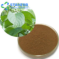 Celastrus angulatus Celasturs angulatus Maxim angulatus maxim  extract