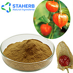 Ashwagandha extract WITHANIA SOMNIFERA extract Ashwaganda