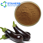 Spicy Garlic Eggplant extract Caponata extract eggplant extract