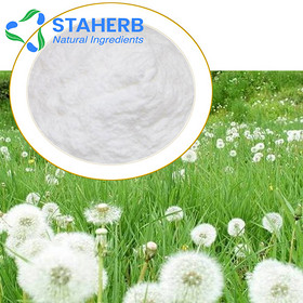 taraxacum extract Dandelion extract Taraxacum mongolicum extract Popotan