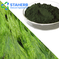 Spirulina extract Spirulina platensis extract Spirulina maxima extract spirulina powder