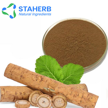 Lappa ARCTIUM LAPPA Burdock edible burdock burdock extract