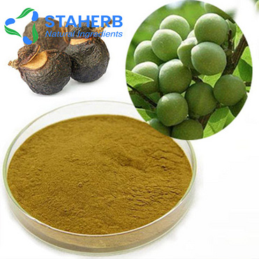 Sapindus extract Chinese Soapberry Fruit extract Sapindus mukorossi extract Sapindus mukorossi Gaert