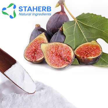 Fig extract Ficus carica extract common fig extract figue extract