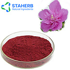 Hibiscus extract Hibiscus syriacus extract hibiscus flower