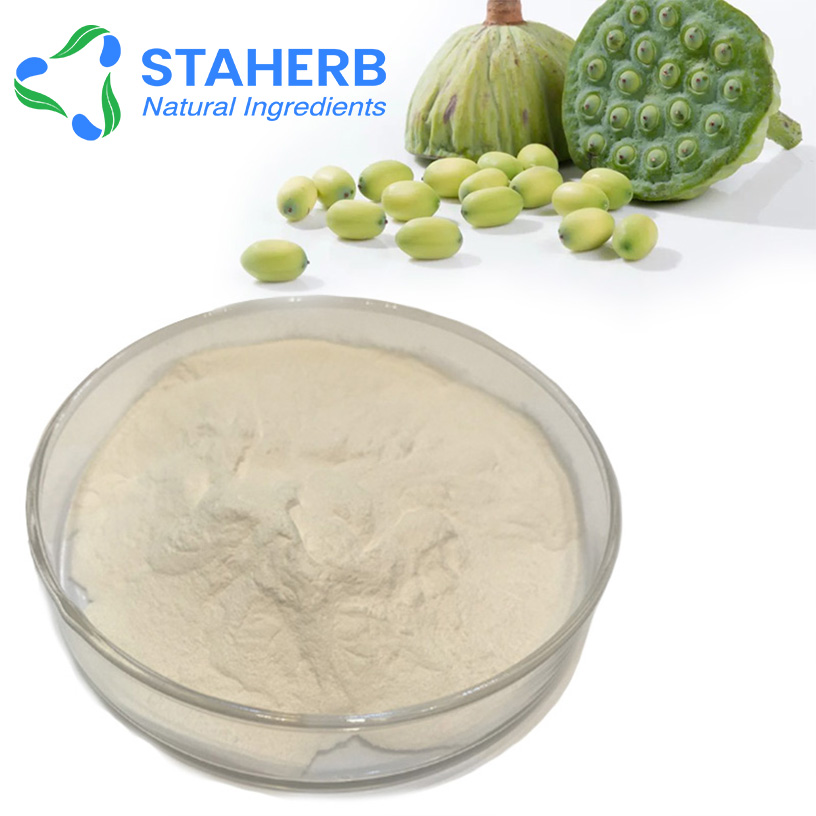 Lotus nut extract Lotus Seed extract Semen Nelumbinis extract