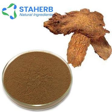 Cynomorium songaricum Rupr extract Cynomorium coccineum extract Cynomorium extract Herba Cynomorii e