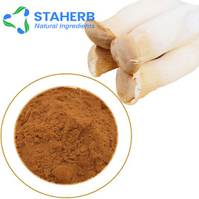 Pleurotus eryngii extract dsytzc extract king oyster mushroom extract Fresh Abalone-shaped Mushrooms