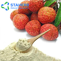 lichee extract  lychee extract Litchi chinensis extract lichee P E lychee P E Litchi chinensis P E