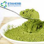 matcha fine powder tea Maccha powder