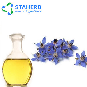 Borage Oil Borage seed oil Borago officinalis borage oil