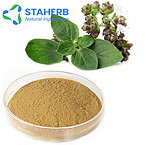 oregano extract oregano P E