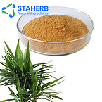 Yucca Schidigera extract Spanish bayonet extract Yucca filamentosa extract