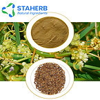 Cuscuta extract Semen Cuscutae extract dodder extract the seed of chinese dodder extract