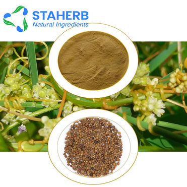 Cuscuta extract Semen Cuscutae extract dodder extract the seed of chinese dodder extract