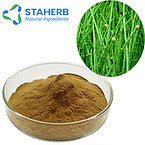 Horsetail Herb Extract