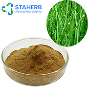 Horsetail Herb Extract