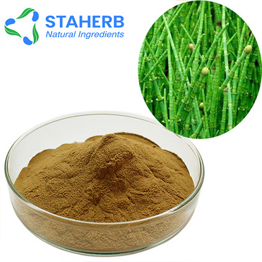 Horsetail Herb Extract