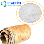 birch bark extract Betula Platyphylla Japonica Bark Extract Betula Alba Bark Extract