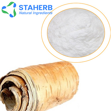 birch bark extract Betula Platyphylla Japonica Bark Extract Betula Alba Bark Extract