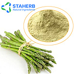 Asparagus extract  Asgus extract asparago extract