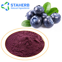 Bilberry Extract Blueberry Extract BBE Bilberr