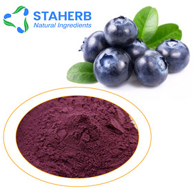 Bilberry Extract Blueberry Extract BBE Bilberr