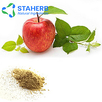 apple powder