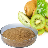 kiwifruit powder Kiwi powder