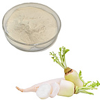 Radish powde Raphanus sativus powder turnip powder daikon powder