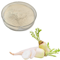 Radish powde Raphanus sativus powder turnip powder daikon powder