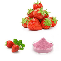 Strawberry powder strawberries powder Fraise powder Fragaria Ananassa Duch powder