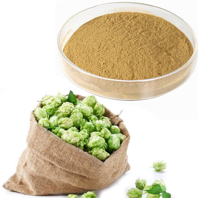 Hops powder European Hop Flower powder Hops Flower powder