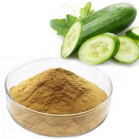 Cucumber powder Cucumis Sativus Fruit powder