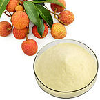 lichee powder  lychee powder Litchi chinensis powder