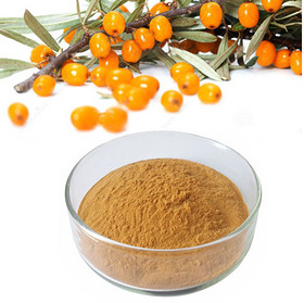 Hippophae rhamnoides powder sea buckthorn powder Hippophae powder Fructus Hippophae powder sea-buckt