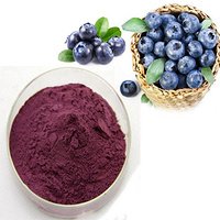 Bilberry powder Blueberry Extract BBE Bilberr powder