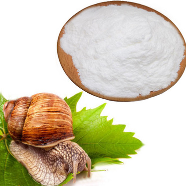 snail collagen