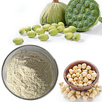 Lotus nut powder Lotus Seed powder Semen Nelumbinis powder