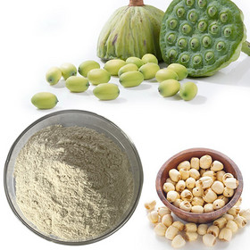 Lotus nut powder Lotus Seed powder Semen Nelumbinis powder