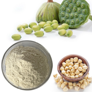 Lotus nut powder Lotus Seed powder Semen Nelumbinis powder
