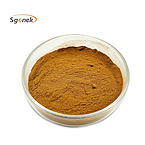 Professional Manufacture Organic Kelp extract